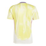 Seconda Maglia Juventus 2024 2025 dettaglio posteriore