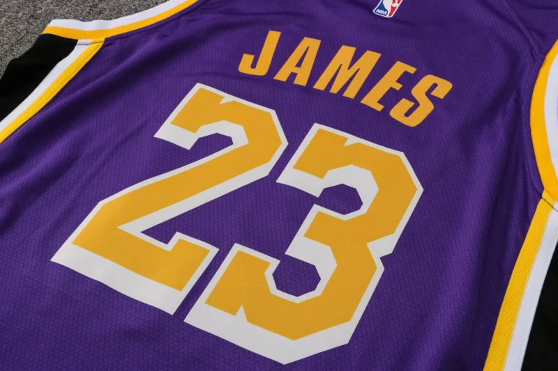 Maglia LeBron James Los Angeles Lakers Viola replica NBA dettaglio numero 23