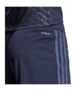 Pantaloncini_Juventus_third_2024-25_Adidas_3 Pantaloncini Juventus Third 2024/25 Adidas dettaglio posteriore AERODRY